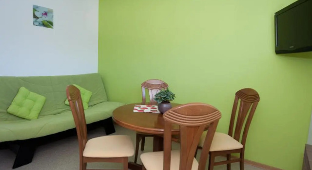 Номер Standard Apartments Mencinger