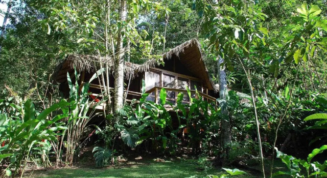 Люкс Pacuare Lodge by Böëna