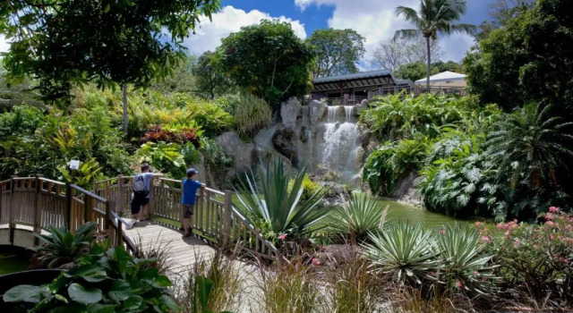 Bungalow Du Jardin Botanique De Deshaies, Reservar Hotel Deshaies Basse Terre