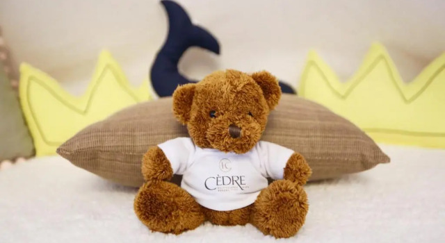 Dubleks küçük süit Hostellerie Le Cèdre