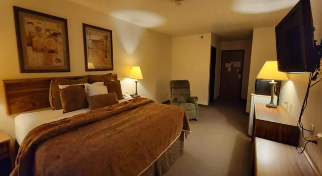 Standard Doppel Zimmer Single Tree Inn