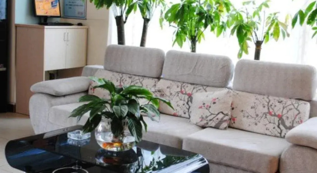 7Days Inn Shijiazhuang West Heping Road, Book Hotel Xinhua 