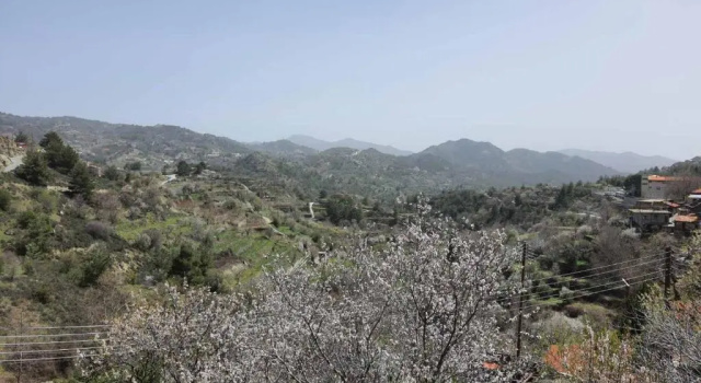 20mins from Troodos _ Best climate in Europe, Забронировать Отель Киперунта Троодос, рядом с Adventure Mountain Park