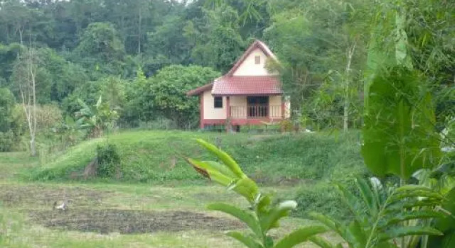 Suancha Tea Garden, Забронировать Отель  