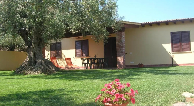 Коттедж House Surrounded by Olive Trees