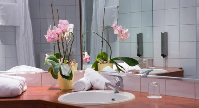 Одноместный номер Standard Отель Amedia Frankfurt Russelsheim Trademark Collection by Wyndham