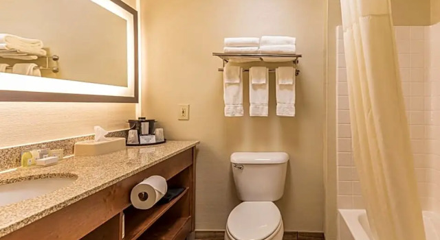 Двухместный люкс Coshocton Village Inn & Suites