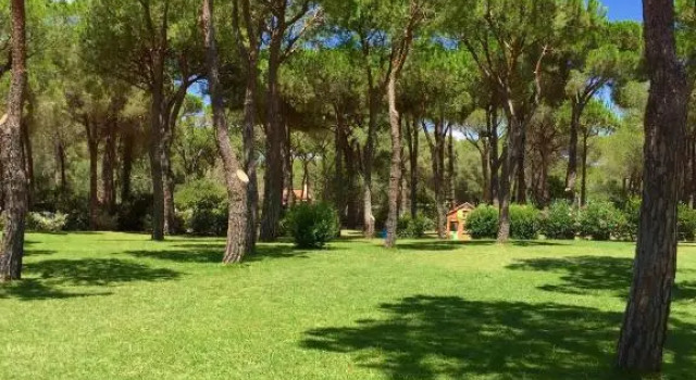 Appartamento Renata