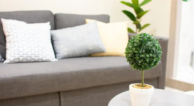 Апартаменты Plenty Apartments Athens
