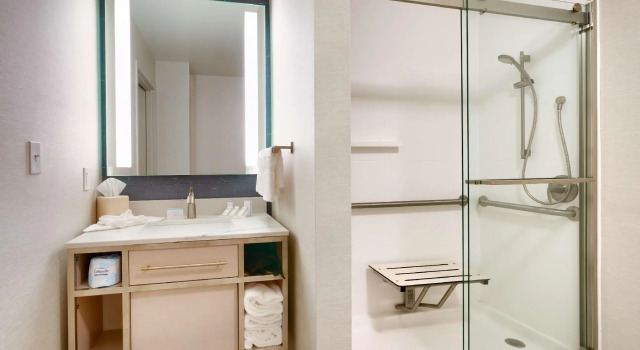 Двухместный номер Standard Hilton Garden Inn Idaho Falls
