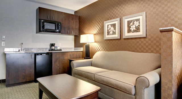 Двухместный люкс Holiday Inn Express Hotel & Suites Peru - Lasalle Area by IHG