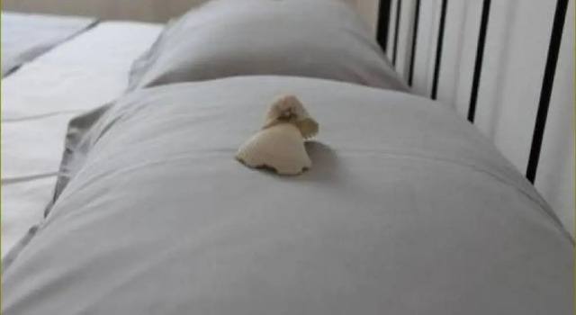 Apartments Mira