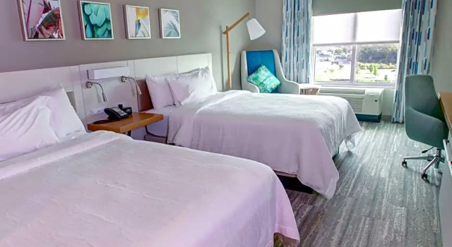 Номер Deluxe Hilton Garden Inn Tampa - Wesley Chapel