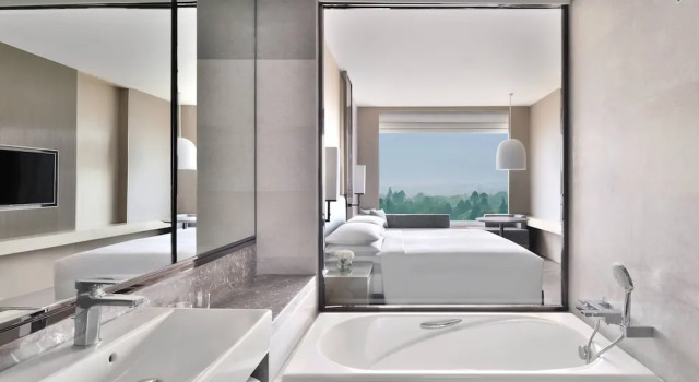 Двухместный номер Club Kathmandu Marriott Hotel