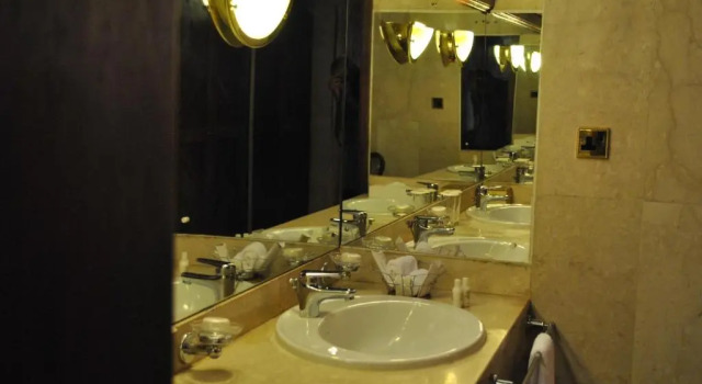Полулюкс с балконом Safari Park Hotel And Casino