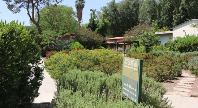 Семейный номер Standard Ashdot Yaacov Ichud Kibbutz Country Lodging