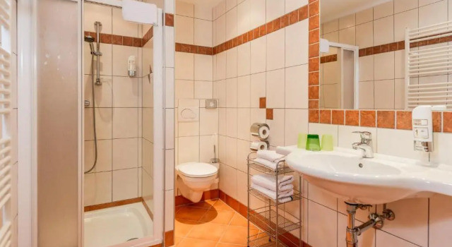 Номер Standard Aparthotel Ramsau