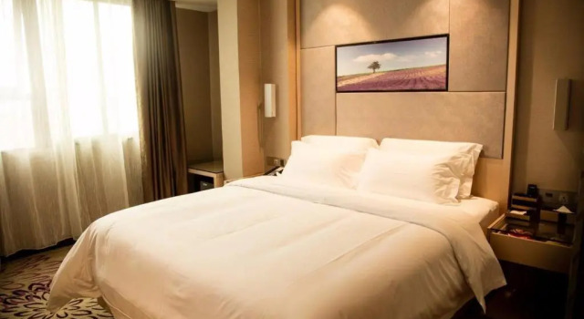 Двухместный номер Standard Lavande Hotel Shenzhen North Station Bantian Subway Station