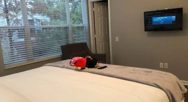 Коттедж Tideview 66 · NEW Luxury 3 Suites Resort Home. Sleep 9