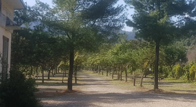 Gapyeong Wooridoori Pension