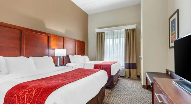 Люкс c 1 комнатой Comfort Suites Smyrna - Nashville Area