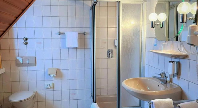 Camera Standard Hotel Ingeburg