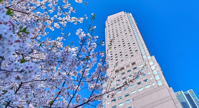 Cerulean Tower Tokyu Hotel, A Pan Pacific Partner Hotel, Réserver Hôtel Hôtels à Tokyo avec piscine, Piscine