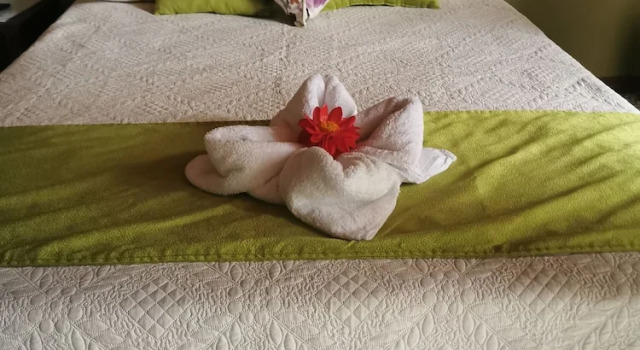 Трёхместный номер Standard с видом на сад Nafre House B&B Monteverde