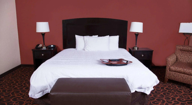 Двухместная студия Hampton Inn & Suites Dickinson ND