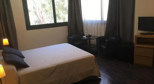 Двухместный номер Standard Hotel Balneario de Lanjarón