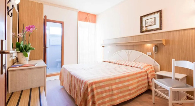 Двухместный номер Standard Hotel Mayer