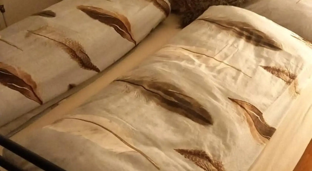 Khaki Campbell, Prenota Hotel Ermelo Veluwe