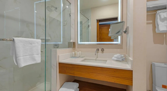 Двухместный люкс Business с видом на аэропорт Radisson Hotel & Conference Centre Calgary Airport