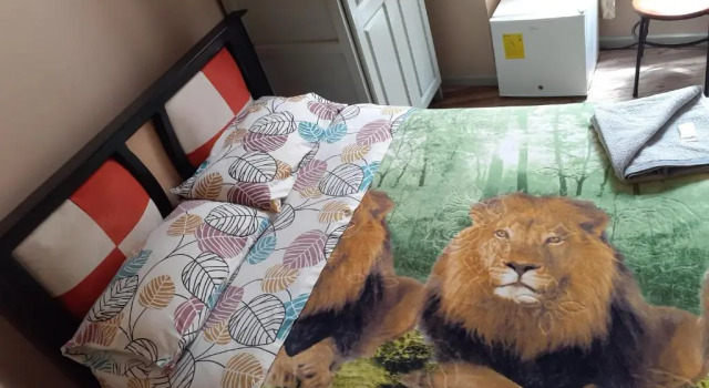 Двухместный номер Standard Hostal Mediodia