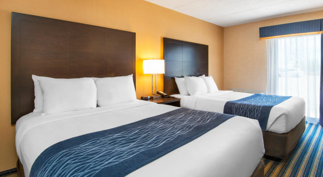 Четырёхместный номер Standard Comfort Inn