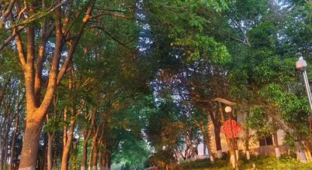 Yijingwan Resort, Book Resort Hotels in Zhenjiang with a Pool, Swimming Pool