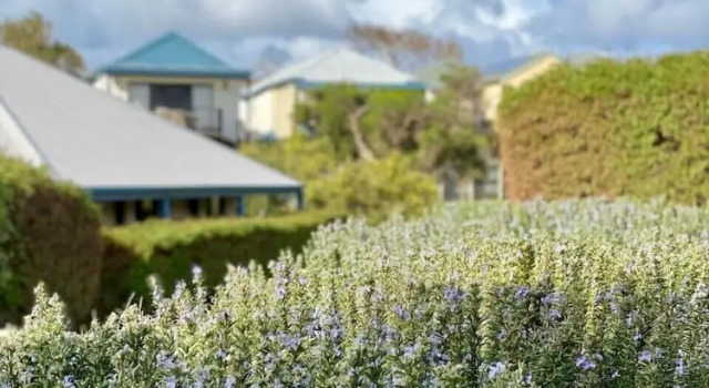 Номер Standard Surfpoint Resort