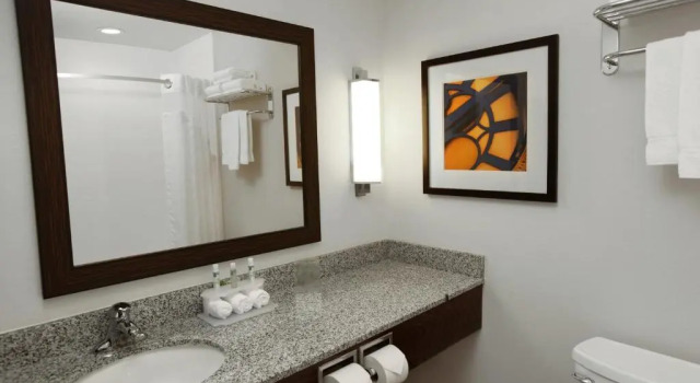 Четырёхместный номер Standard Holiday Inn Express & Suites Omaha South Ralston Arena by IHG