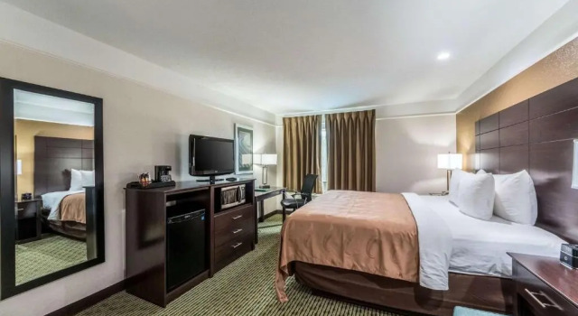 Номер Standard Quality Inn & Suites SeaWorld North