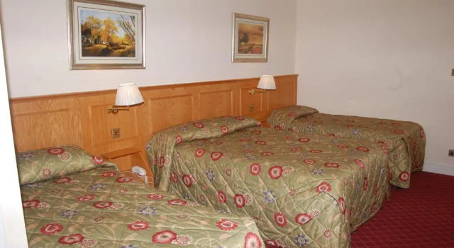 Трёхместный номер Standard Viking Hotel