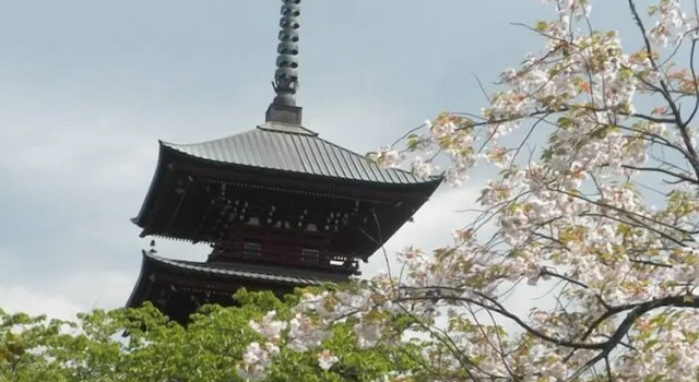 Guest House Chara, Buchen Sie Pension Hirosaki Aomori