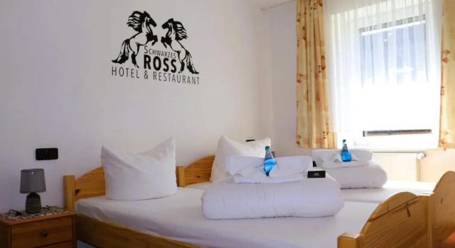 Двухместный номер Standard Schwarzes Ross Hotel & Restaurant Oberwiesenthal