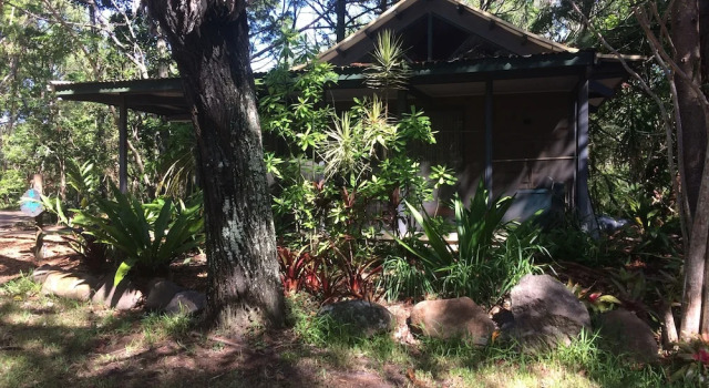 Номер Standard Byron Bay Rainforest Resort