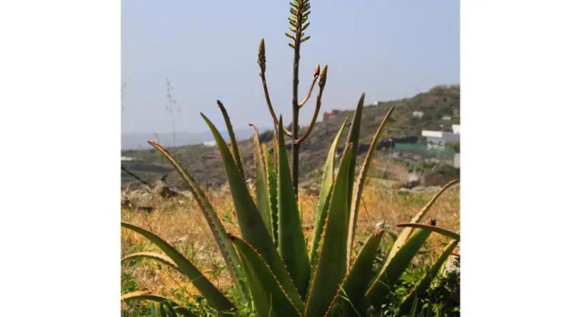 Casa Rural La Vista Tenerife, Prenota Hotel Fasnia 