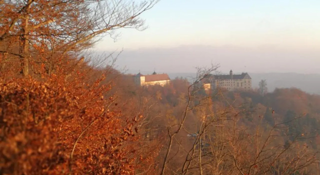 Апартаменты Ferienwohnung am Bodensee Heiligenberg