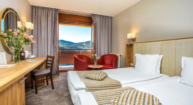 Двухместный номер Standard с балконом и с видом на горы Hotel Orlovetz