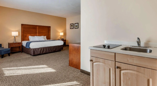 Двухместный люкс Comfort Inn Apalachin - Binghamton W Route 17