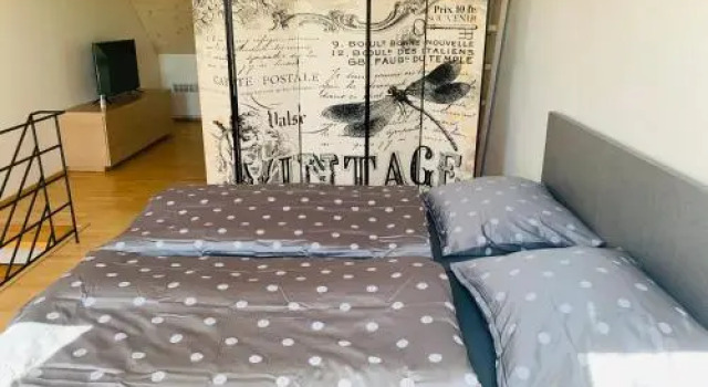 Apartmán U Venuše