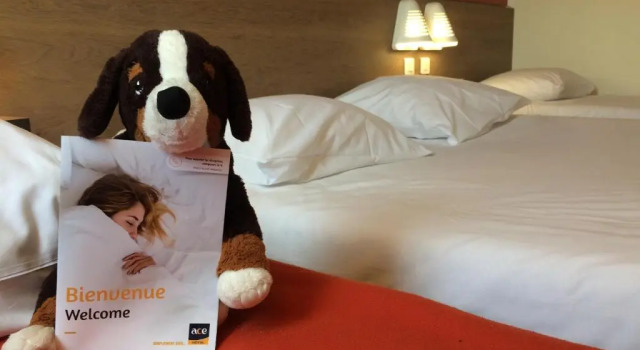 Четырёхместный номер Standard Ace Hotel Poitiers