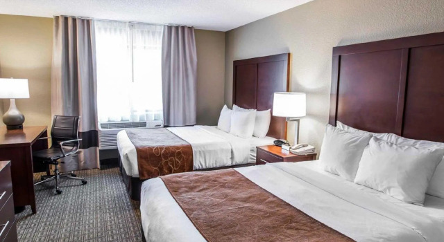 Четырёхместный номер Standard Comfort Suites Lakewood - Denver